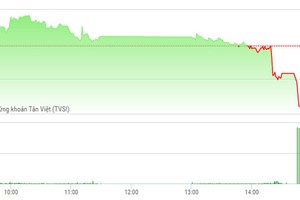 Phiên chiều 17/3: ROS và NVL bị ép trong phiên gom hàng của ETFs