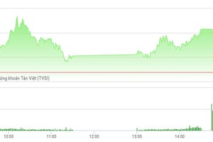 Phiên chiều 4/4: TTF vọt lên mức trần, hai sàn đóng cửa trong sắc xanh