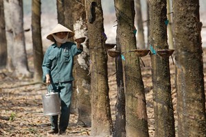 Cổ phiếu cần quan tâm ngày 8/5