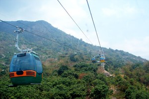 Năm 2016, TCT trả cổ tức 45% bằng tiền mặt