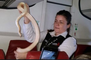 Những vụ bê bối gây chấn động của ngành hàng không Mỹ đầu năm 2017