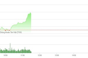 Phiên sáng 19/5: Dầu khí, ngân hàng khởi sắc, VN-Index tăng vọt, chinh phục lại đỉnh cũ