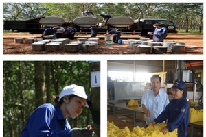 Cổ phiếu cần quan tâm ngày 2/6