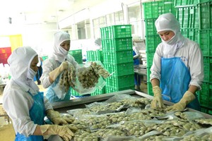 Tháng 7, ABT tạm tạm ứng cổ tức 10% bằng tiền mặt