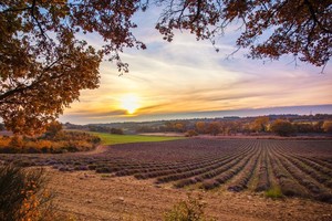 15 chuyến đi dành cho cặp đôi trong mùa Thu này