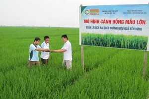 Lộc Trời (LTG) chốt danh sách cổ đông tạm ứng cổ tức đợt 1/2016, tỷ lệ 15%