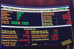 IDICO đấu giá thành công thu về hơn 1.324 tỷ đồng, nhà đầu tư ngoại mua phần lớn cổ phần