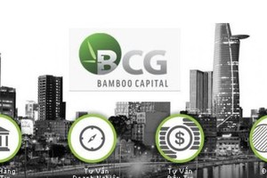 Thoái bớt vốn tại Bamboo Capital (BCG), Ô tô 1-5 thu về hơn 20 tỷ đồng