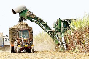 CTCP Đầu tư Thành Thành Công đã mua 5 triệu cổ phiếu SBT