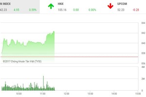 Phiên sáng 1/11: ROS trở lại trường đua, thị trường khởi sắc