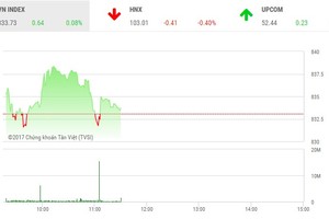 Phiên sáng 3/11: Cặp đôi HAG-HNG bị xả mạnh, VN-Index nhọc nhằn gượng dậy