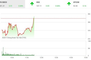 Phiên sáng 15/11: VNM trở lại, cứu nguy cho VN-Index