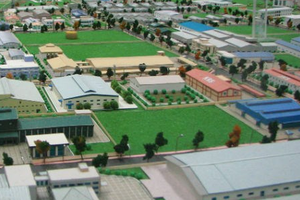 IDV tạm ứng cổ tức 10% bằng tiền mặt