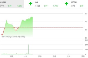 Phiên sáng 20/12: Cổ phiếu dầu khí nổi sóng