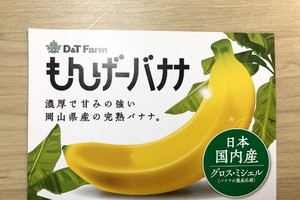 Là nước ôn đới nhưng Nhật Bản đã trồng thành công loại trái cây đặc trưng của vùng nhiệt đới như chuối.