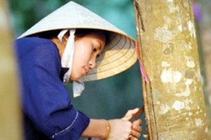 Cao su Phước Hòa (PHR) chính thức có Tổng giám đốc mới