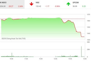 Phiên chiều 17/1: Bán tháo ồ ạt, thị trường lao dốc