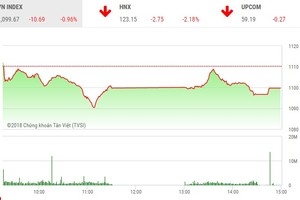 Phiên chiều 1/2: Hàng trăm mã giảm điểm, thị trường lao dốc
