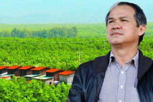 HOSE nhắc nhở 2 Công ty của bầu Đức để tránh rơi vào hủy niêm yết bắt buộc