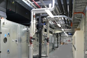 Năm 2017, GLT trả cổ tức 45% bằng tiền mặt