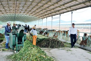 Hoàng Anh Gia Lai (HAG) đăng ký mua 24 triệu cổ phiếu HNG