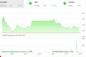 Phiên chiều 28/9: Dòng P điều chỉnh, VN-Index gặp khó tại ngưỡng 1.020 điểm