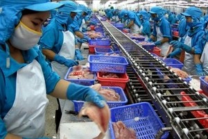 Thủy sản Mekong (AAM) mua lại 2,4 triệu cổ phiếu quỹ để bình ổn giá