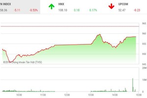 Phiên chiều 19/10: Cầu yếu, VN-Index không thể hồi phục
