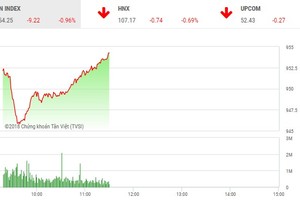Phiên sáng 19/10: Lực cầu bắt đáy giúp VN-Index hãm đà rơi
