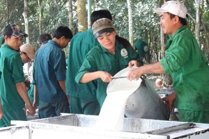 Cổ phiếu cần quan tâm ngày 30/10