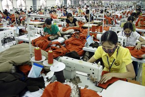 Cổ phiếu cần quan tâm ngày 31/10