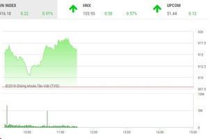 Phiên sáng 2/11: Tiền ồ ạt chảy vào cổ phiếu nhỏ, VN-Index tăng hơn 8 điểm