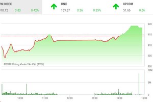 Phiên chiều 12/11: Thận trọng tiến bước, cổ phiếu thủy sản tỏa sáng