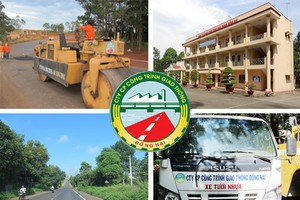 Công trình giao thông Đồng Nai (DGT) bị phạt 70 triệu đồng vì lỗi công bố thông tin