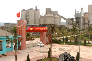 Sản lượng tiêu thụ tăng giúp VICEM Hoàng Mai (HOM) có lợi nhuận đột biến