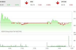 Phiên chiều 25/1: Kịch bản cũ lặp lại