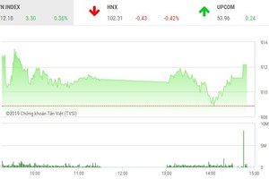 Phiên chiều 28/1: "Họ Vin" giúp VN-Index chinh phục thành công mốc 910 điểm