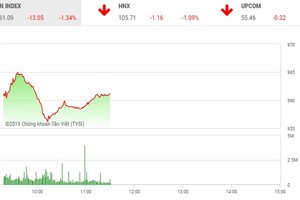 Phiên sáng 6/5: Ồ ạt xả hàng, VN-Index thủng mốc 960 điểm