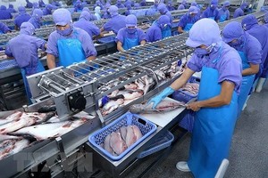 Đầu tháng 6/2019, Vĩnh Hoàn (VHC) sẽ chi gần 185 tỷ đồng trả cổ tức đợt 2/2018