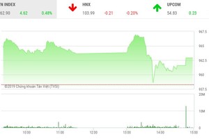 Phiên chiều 10/6: Giật mình