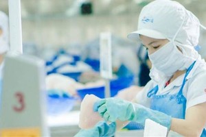 Từ ngày 2/8, cổ phiếu AGF sẽ chuyển sang diện kiểm soát đặc biệt