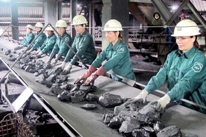 Vinacomin tiếp tục đăng ký mua hơn 1 triệu cổ phiếu MDC