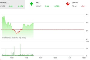 Phiên sáng 12/8: Thị trường rung lắc, cổ phiếu vừa và nhỏ vẫn hút dòng tiền