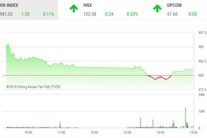 Phiên chiều 19/8: Cổ phiếu bất động sản vừa và nhỏ tỏa sáng