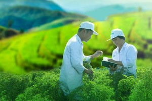 Traphaco (TRA) có thêm Phó tổng giám đốc là người Hàn Quốc