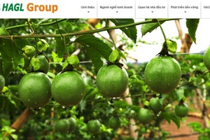 Cặp đôi cổ phiếu của bầu Đức vẫn chưa thoát khỏi diện cảnh báo