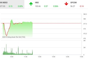 Phiên sáng 25/11: Dè dặt bắt đáy