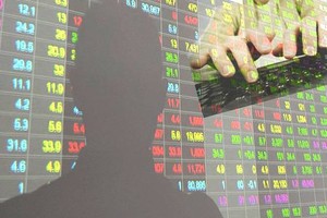 Thao túng giá cổ phiếu Nam Việt (ANV), ông Nguyễn Kim Dĩnh bị phạt 550 triệu đồng