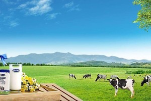 Cổ phiếu cần quan tâm ngày 19/12