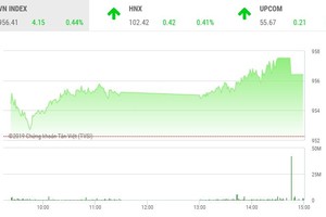 Phiên chiều 20/12: Dòng tiền đầu cơ chảy mạnh, VN-Index lấy lại ngưỡng 955 điểm